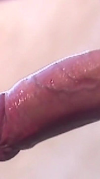 젖어 떨어지는 로즈버드를 괴롭히는 Prolapse Rosebud