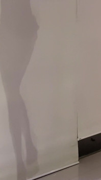 Dança sensual com namorado