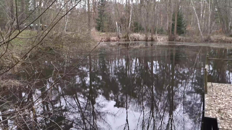 Bouncy Tits Action: Fessée espagnole dans la nature réelle