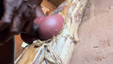 Bangcum8: Il culo è molto dolce nella mia stanza di prigione