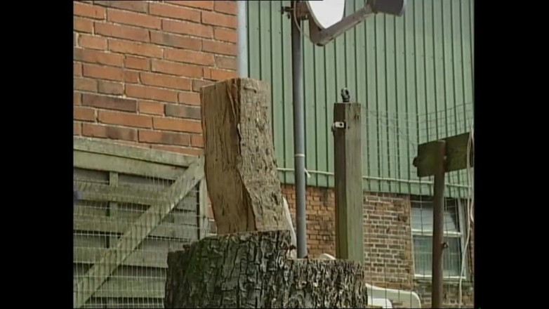 MMV films - The Original: Deutsche ficker genießen heiße schlampen mit dicken titten und ein...
