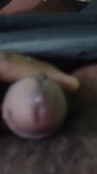 Mole ile penisim