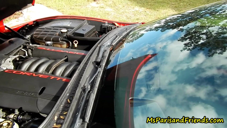 Ms Paris and Friends: Corvette Reving Dihenjut Motornya