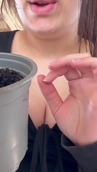 Reuzin tuiniert wild, ze plant een kleine man