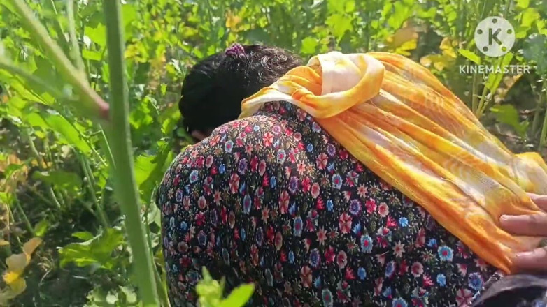 Savita5343: Villaggio Desi Bhabhi scopata in campo di senape a pecorina....