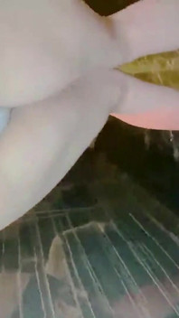Anjo asiático 24748