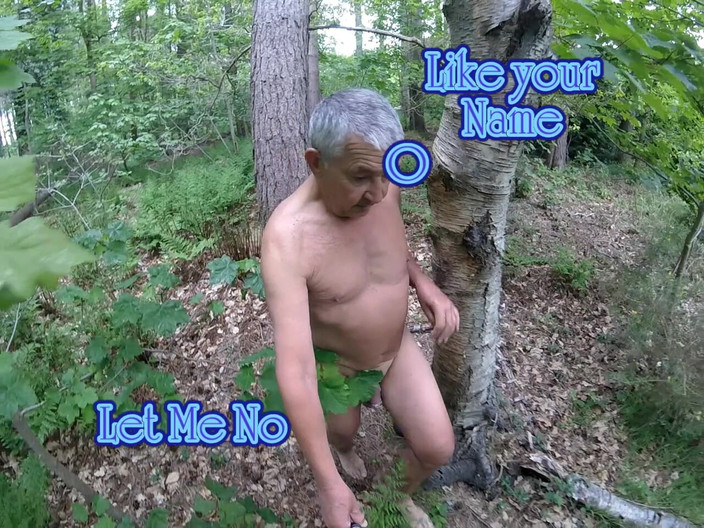 Andy: Plimbare 24 2025