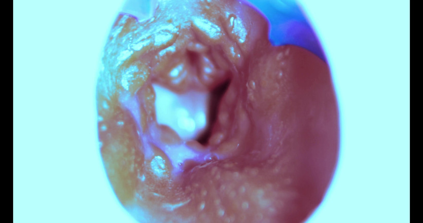 SEXY_GUYBEST: Jak pieprzę od wewnątrz! Kamera w środku!