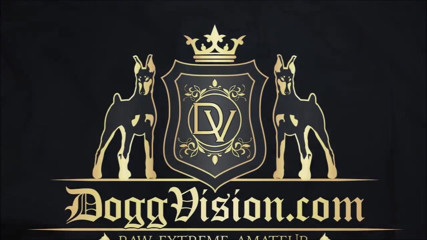 DoggVision: That so was great - But who are you?