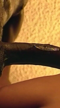 Unleashed Sluts for Anal Fuck