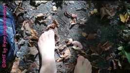 Malá nylonová lesní procházka