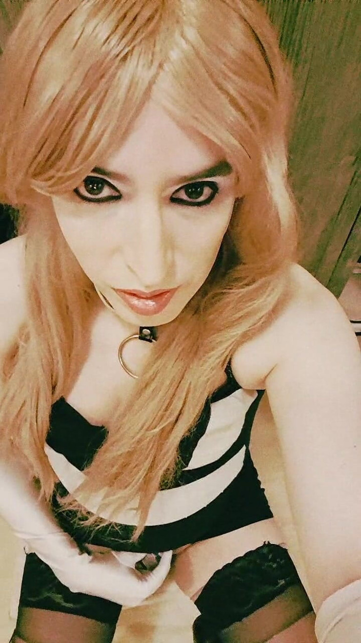 Tammy sissy slave: Dipamerkan Lagi