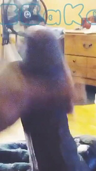 Sacudidas, gran polla sin cortar disparando carga gorda