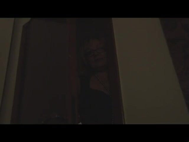 My porn family: La familia perfecta - DVD