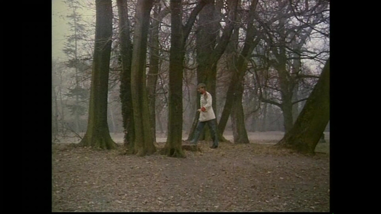 FM Video VOD: Veselá vdova # 02