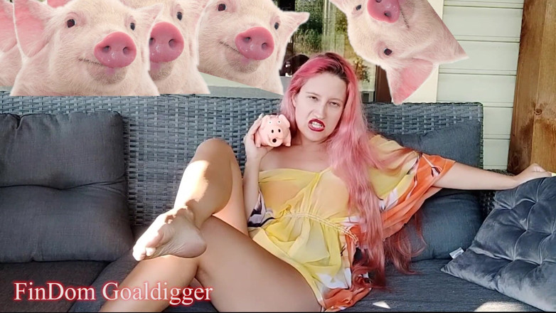 FinDom Goaldigger: Cash slave application form review