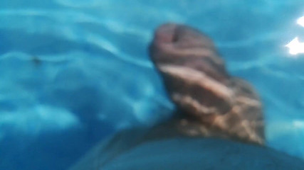 Monster_Meat_: Procházka v bazénu nahá verze