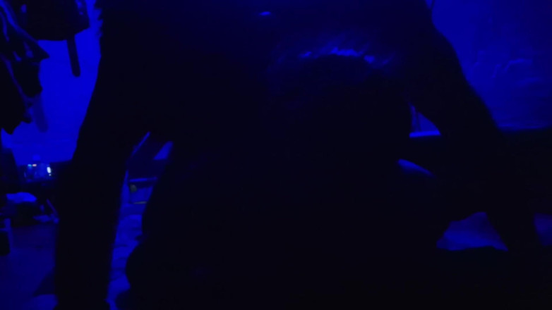 Busty Banuu: Xxx, plaisir complet, sexe nocturne, vidéo porno
