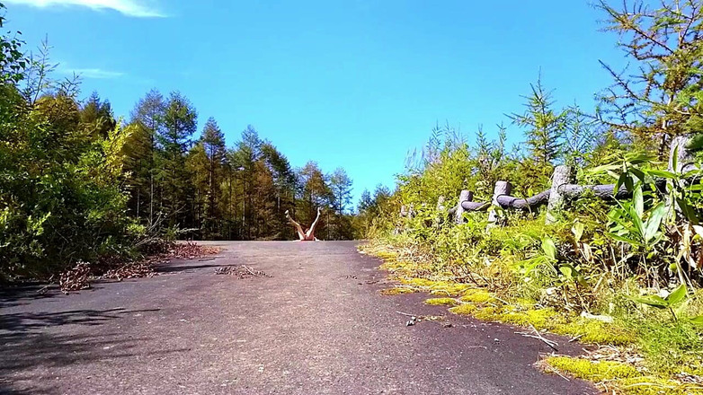 Pai-chan: 春季公园的裸体派陈