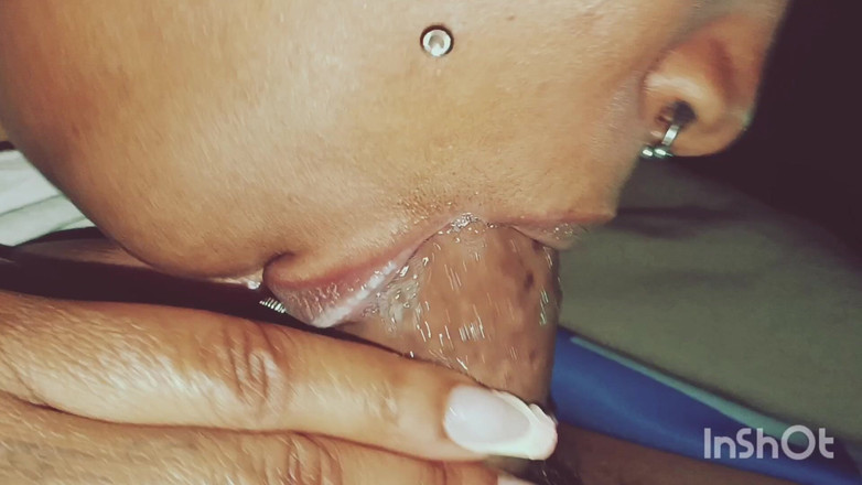 The Nasty House: Die hals-chroniken vol 1