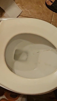 Il cazzo rasato piscia