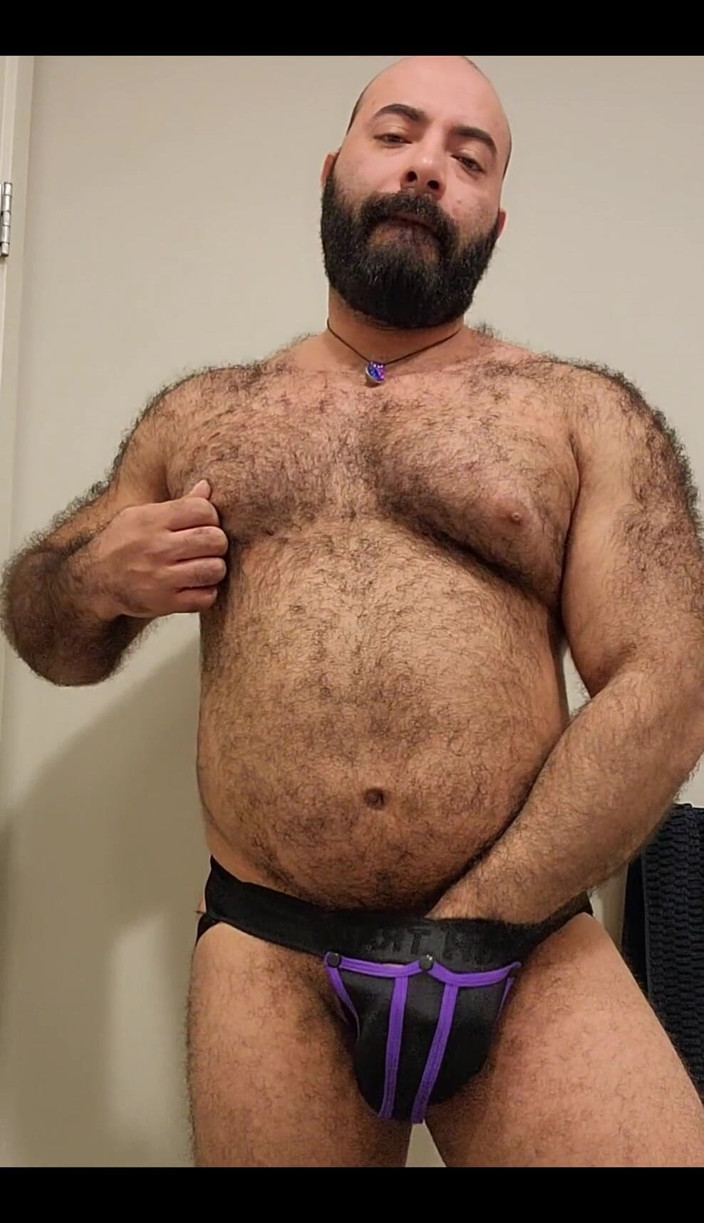Lobo: L'orso è qui