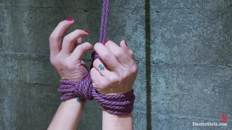 Electrosluts by Kink: Felony dans un fil de cuivre