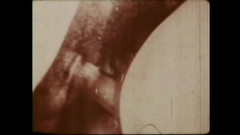 Vintage megastore: 猪激发器