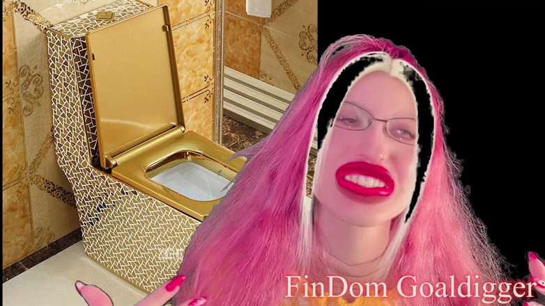 FinDom Goaldigger: Gold toilet transformation