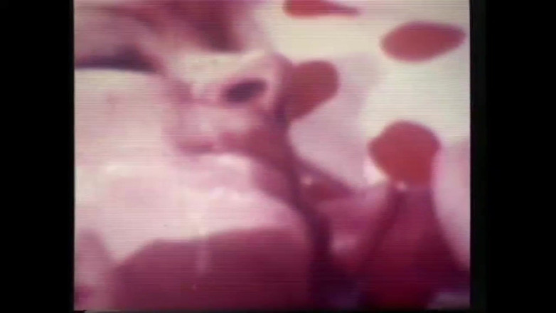 The Unforgettable: 美味诱人的