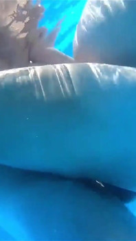 Mamă sexy tânără însărcinată face sex la piscină! Punând un spectacol pentru vecini