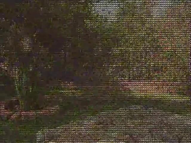 Eleganxia: 집에 혼자 있는 마누라: 마누라 #172