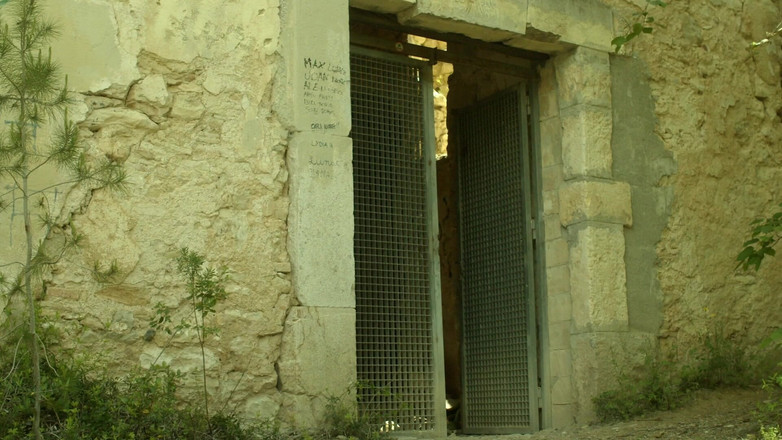 Magia Rosa: 如果你在树林里发现这样的东西呢？