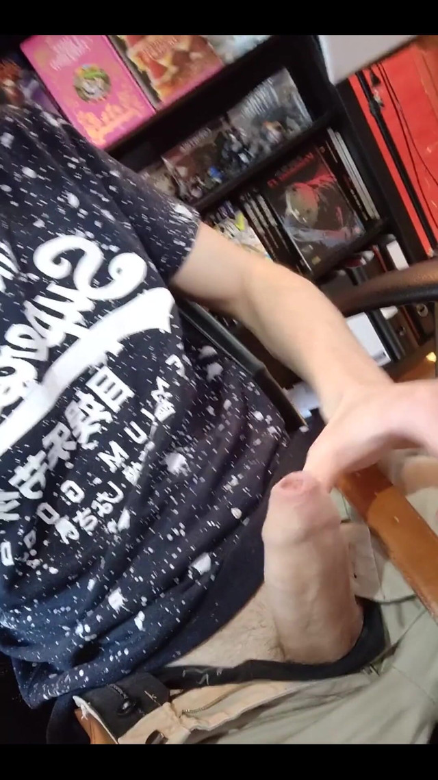 The Video Is Recorded (Snauwflake)