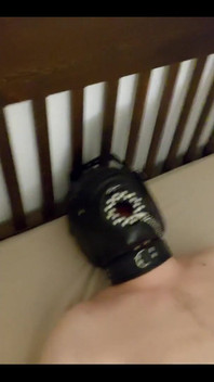 Tyrell Had to Eat My Stinky Socks