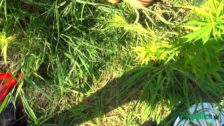 Cumbizz: Soul leaves my body BBC digs my guts out!