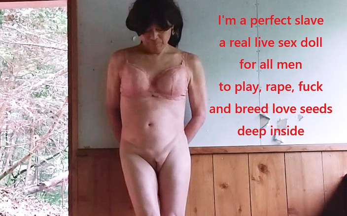 Pai-chan: 当 Pai-chan 躲在鸟窝里