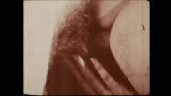 Vintage megastore: सुअर उत्तेजक