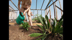 Hera Harding: Naked Greenhouse Worker Planting Cacti