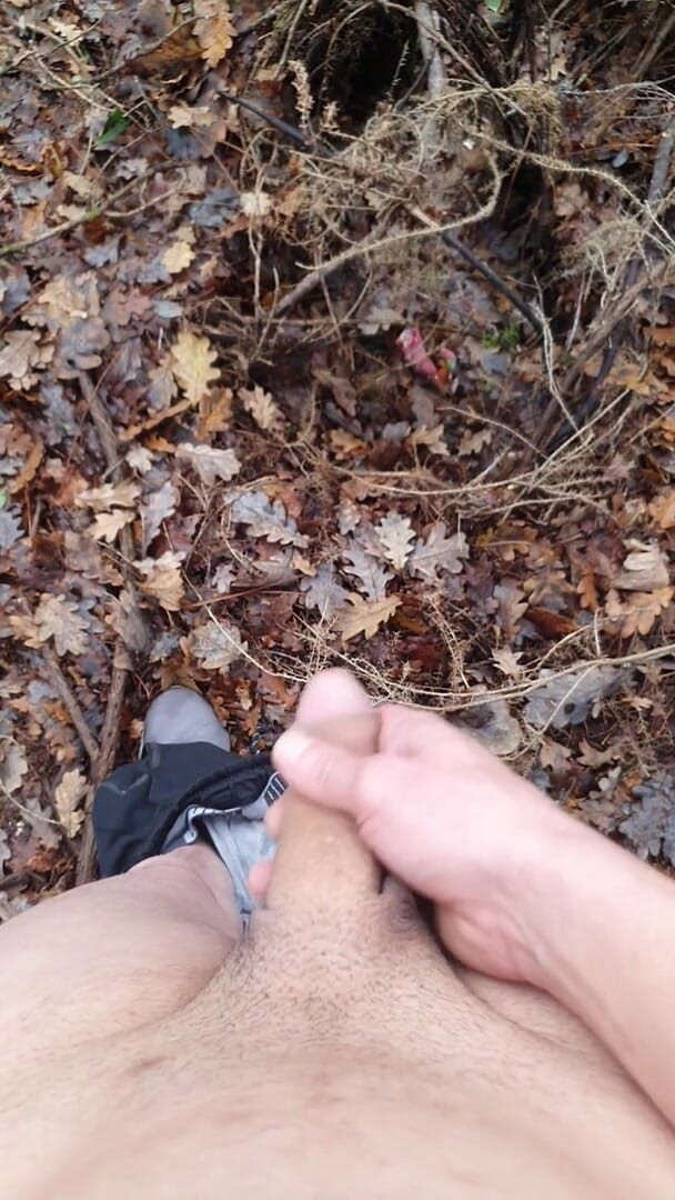 Timmyboy: Timmyboy aku pergi untuk lari di hutan dan aku jadi...