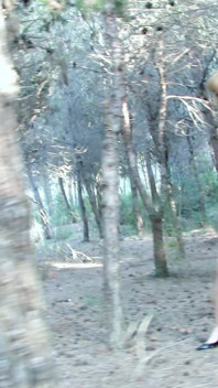 Martina Vidal: Nasty MILF Is Peeing Totaly Nude in the Wood