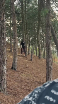 The Forest Witch Fucks a Defenseless Man