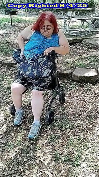 春天的散步和闪烁的冒险！