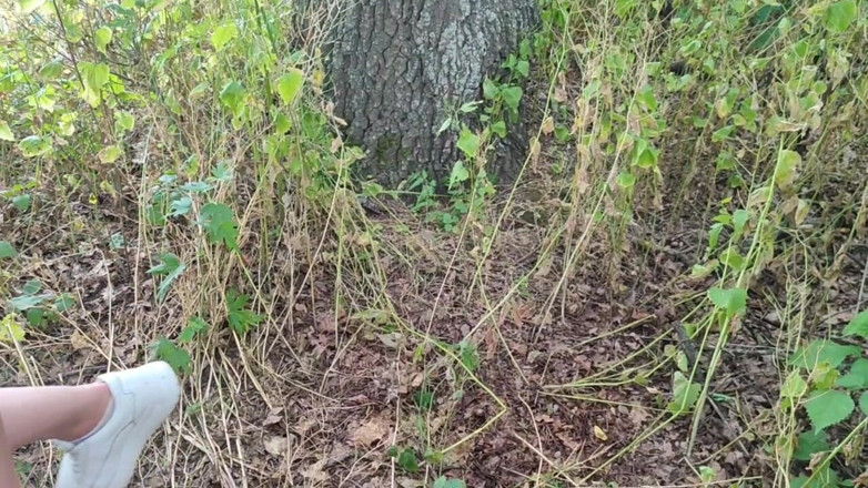 DirtyLubov: Anal et urine en plein air