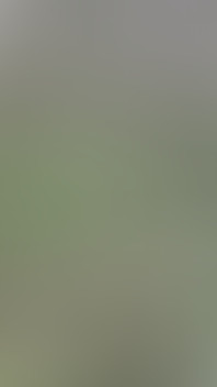 A Worker Passed Through the Park and Received a Blowjob.