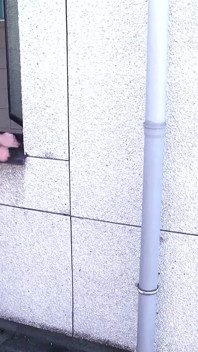 Huge cocks for real fucking pleasure