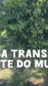 Here the News Is Frequent, Come Play in the Hottest Trans House in the World, News Every Week, Lots of Sex.
