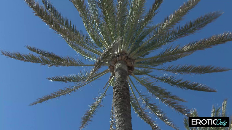 MILFFreaksX: Två flickvänner suger kofferten på sin semesterbekant