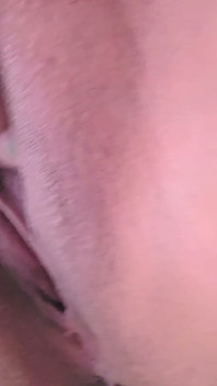 Veja Meus Caras Gordinhos