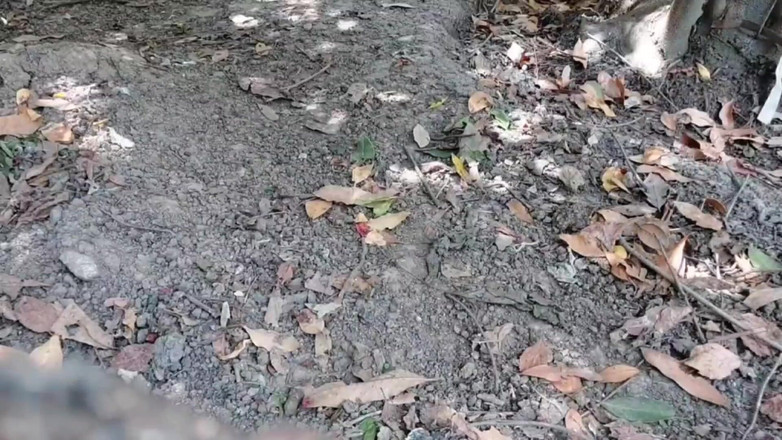 Kitty_Cross: Keseronokan bersalah kegemaran anda